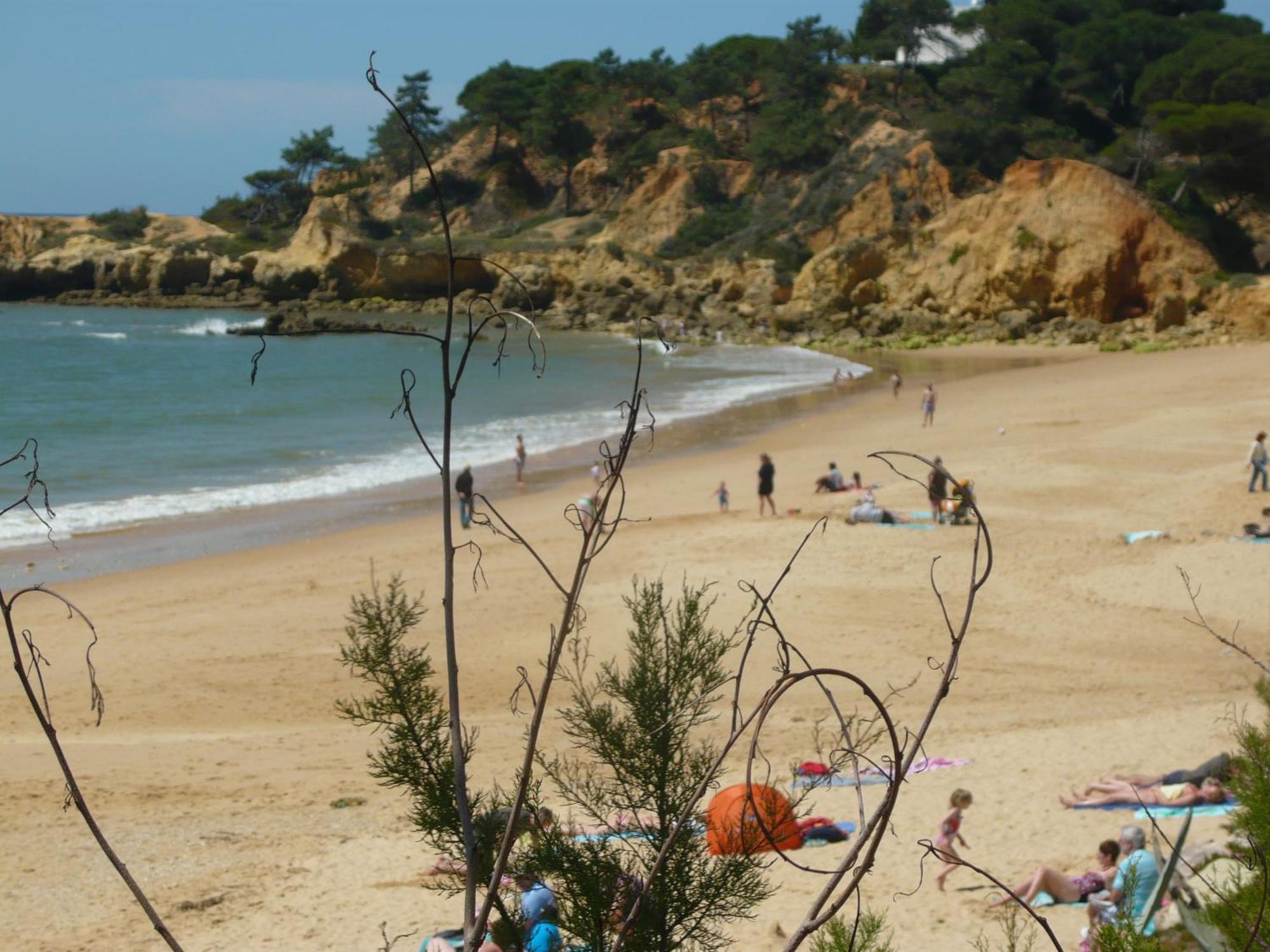 Agua Marinha Rosa- Hotel Albufeira Dış mekan fotoğraf